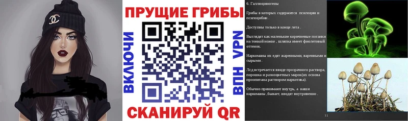 Купить закладки  Чулым  Галлюциногенные грибы Psilocybe 